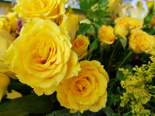 bouquet of yellow roses