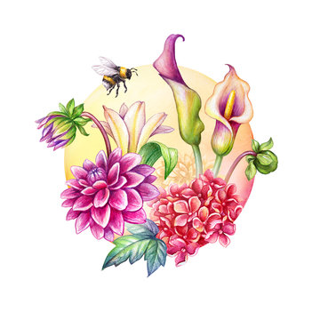 digital watercolor botanical illustration, tropical flowers inside round shape. Gerber, hydrangea, calla lily, bumblebee. Spring floral arrangement isolated on white background. Greeting card template