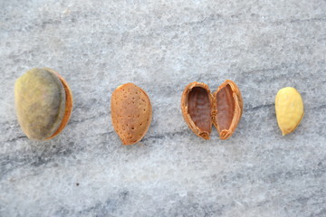 Fresh almond with its skin and shell on marble background