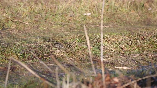 Riding a quad bike in the mud. The wheels of the ATV slowly drive through the ground. The ATV goes off-road, close-up. Wheels in the mud on a dirt road. Off-road driving. ATV off road wheels
