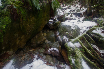 ハイキング, ノースバンクーバー, 雪