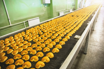 Industrial food production process. Factory or bakery conveyor belt with cakes. Automation manufacturing.