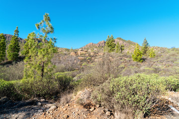 Landscape with mountains in sunny winter day in Gran Canaria