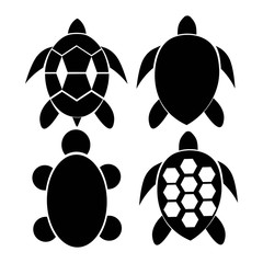 Obraz premium turtle logo vector