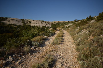 Fototapeta premium road in the mountains