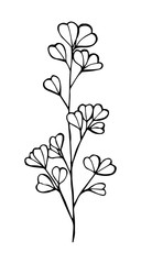 Eucalyptus contour drawing of black color isolated on a white background, honeycomb vector illustration