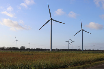 Fototapeta premium Windrad, Windkraft, Windpark