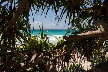 Amazing  Byron Bay, Australia