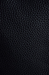 Rough texture of black animal skin, closeup