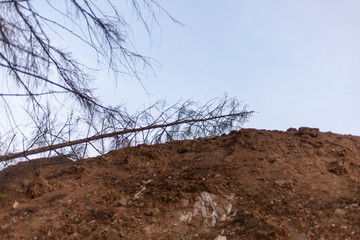 Wasteland after deforestation. Only one bare earth remained. The soil is plowed with heavy...