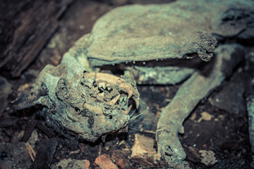 Lost Places in Germany