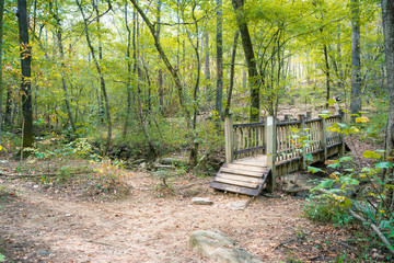 Small Bridge over Stream