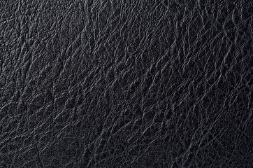 Rough texture of black animal skin, closeup - Powered by Adobe
