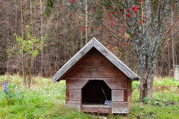 Fototapeta na wymiar The doghouse was overgrown with moss. A house in the garden for the dog. A beautiful little pet enclosure. Decoration on site. landscape design.