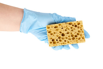 Household dishwashing sponge, hand in blue nitrile glove