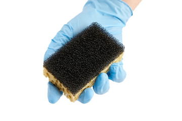 Household dishwashing sponge, hand in blue nitrile glove