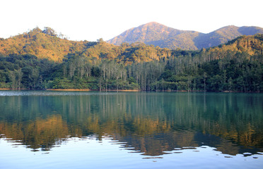 sunset at flooding old forest china hong kong