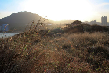 Abandoned stone mine near hong kong city, glass glowing in meadow under the beautiful sunset