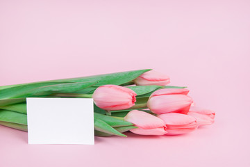 Delicate postcard flowers tulips with a note on a pink background mock up