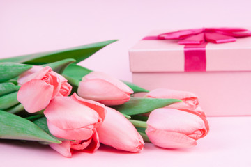 Gift with flowers tulips on a pink background for Valentine's Day, for Mother's Day