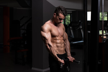 Obraz na płótnie Canvas Bodybuilder Exercising Biceps