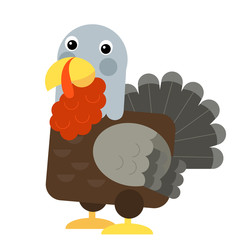 Cartoon funny turkey isolated on white background - illustration