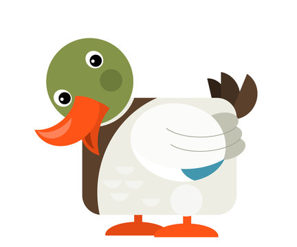 Cartoon funny duck isolated on white background - illustration