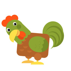 Cartoon funny bird chicken rooster isolated on white background - illustration