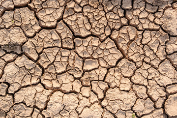 Dry soil results from lack of water.Global warming