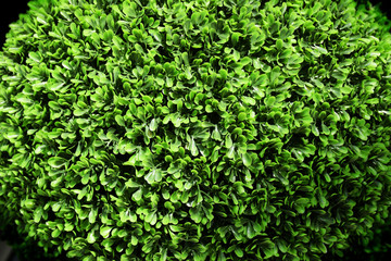 Bright green plastic artifical plant in a spherical shape, close up