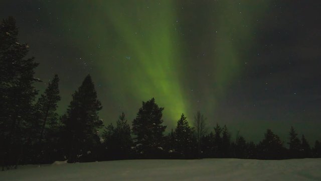 A timelapse video of colourful aurora borealis above trees and snowmobile track going through the forest in winter Northern Lapland, Finland.
