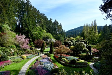 sunken garden at butcher garden in the spring