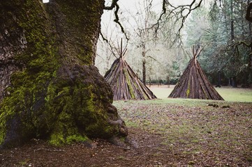 Native American traditional Me-Wuk ceremony lodging during daytime © Edewaa Foster/Wirestock