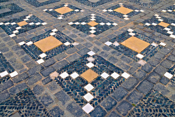 Typical decorative pattern of old Portuguesse and Spanish towns, geometric cross texture laid in various kinds of colorful stones.