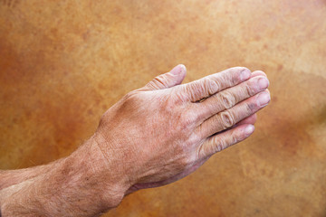Hands Praying