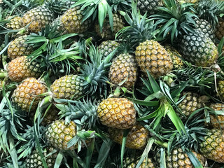 Obraz premium Pile of ripe pineapple, agriculture and food concept