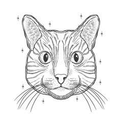 Mystic magic cat. Portrait face head hand drawn vintage style.Line art ink painting.Graphic design tatoo.