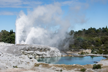 New Zealand's geothermal area, Pohutu Geyser. The largest active geyser in the southern hemisphere 