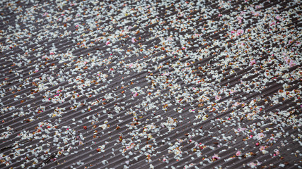 トタン屋根に落ちた梅の花びら