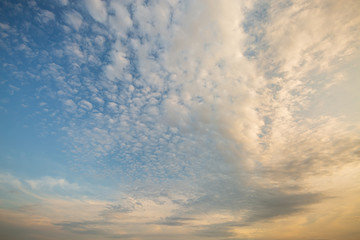 鱗雲（巻積雲）