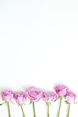 Obraz na płótnie Canvas Pink purple rose flowers on white background. Floral composition, flat lay, top view, copy space