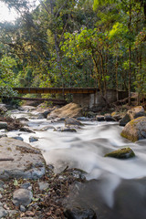 Savegre River, San Gerardo de Dota. Quetzales National Park, Costa Rica. The cleanest river in Central America.