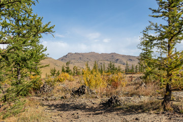 The beautiful landscape of Mongolia near the Khorgo extinct volcano. Khorgo is a small volcano in central Mongolia surrounded from barren landscape. stony ground and colorful trees in Autumn 