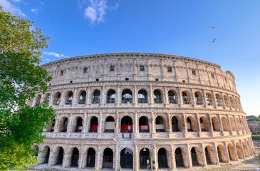 Fototapeta na wymiar The Roman Colosseum in located in Rome, Italy.