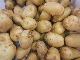 Fresh organic Potatoes are selling on streets of Bangkok Thailand