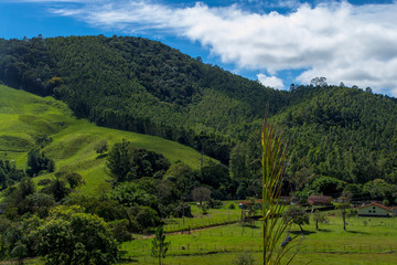 Obraz premium landscape with green hills and trees