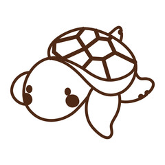 turtle sea life animal isolated icon
