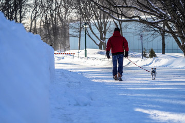 homme promène son chien