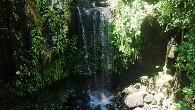 Curtis Falls, tropical rain forest, National Park, cal and relaxing