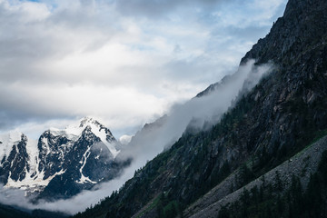 Alpine landscape with big glacier behind mountains with forest under cloudy sky. Low clouds on mountain side and giant snowy rocks. Atmospheric scenery with glacial rocky mountains and trees on rocks.